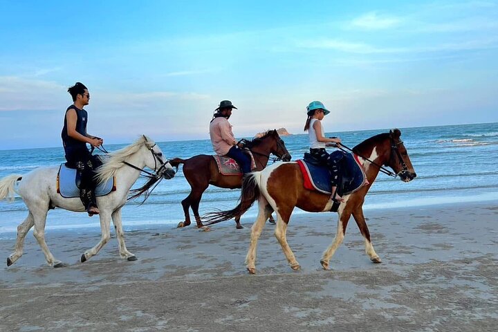 Horse Riding for All Skill Levels at Hua Hin Beach & Forest Trail
