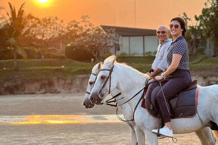 Horse Riding for All Skill Levels at Hua Hin Beach & Forest Trail