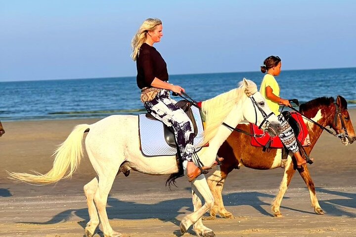 Horse Riding for All Skill Levels at Hua Hin Beach & Forest Trail