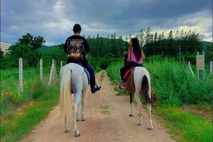 Horse Riding for All Skill Levels at Hua Hin Beach & Forest Trail