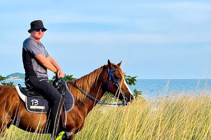 Horse Riding for All Skill Levels at Hua Hin Beach & Forest Trail