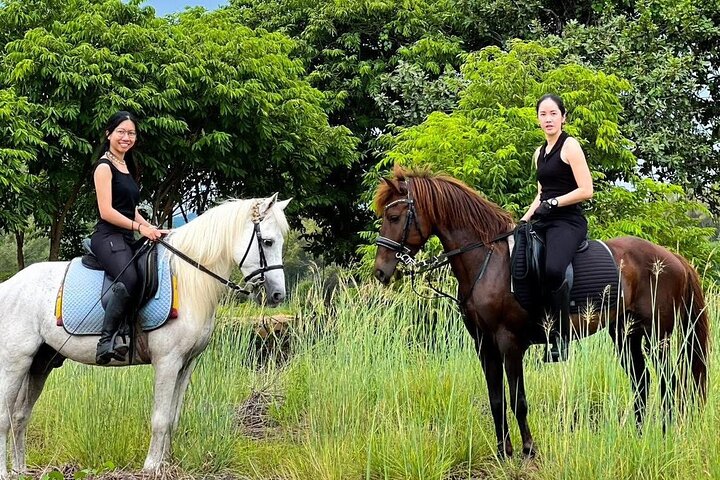 Horse Riding for All Skill Levels at Hua Hin Beach & Forest Trail