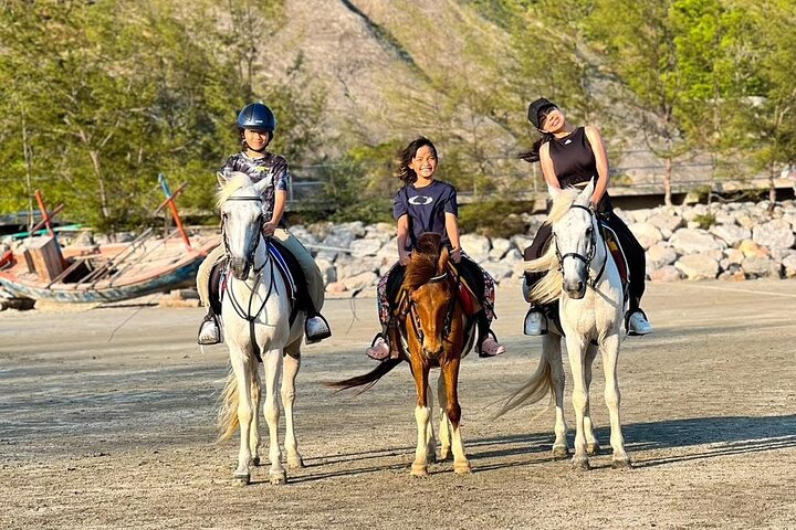 Horse Riding for All Skill Levels at Hua Hin Beach & Forest Trail