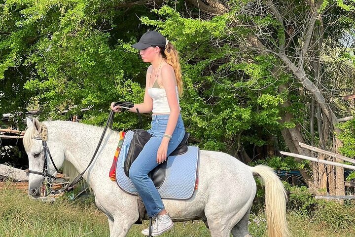 Horse Riding for All Skill Levels at Hua Hin Beach & Forest Trail