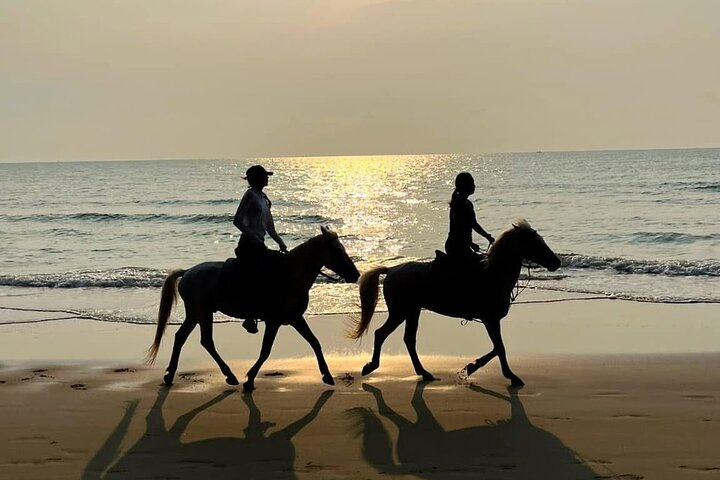 Horse Riding for All Skill Levels at Hua Hin Beach & Forest Trail