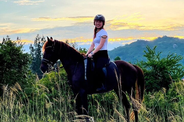 Horse Riding for All Skill Levels at Hua Hin Beach & Forest Trail