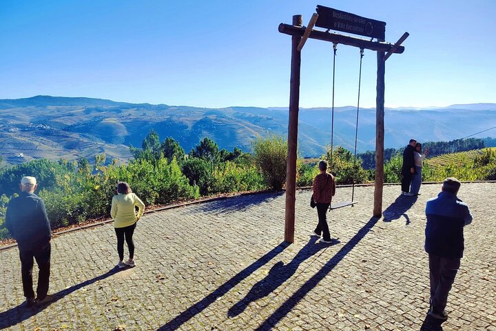 Douro Valley Small-Group Wine Tour: 2 Wineries, Cruise & Lunch