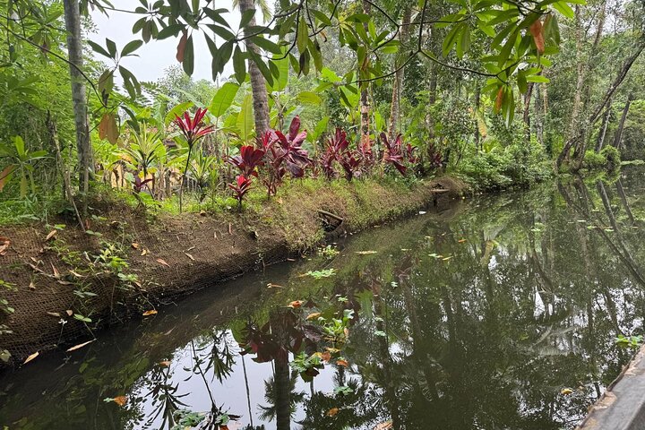 Full Day Backwater Village Punting Boat Cruise