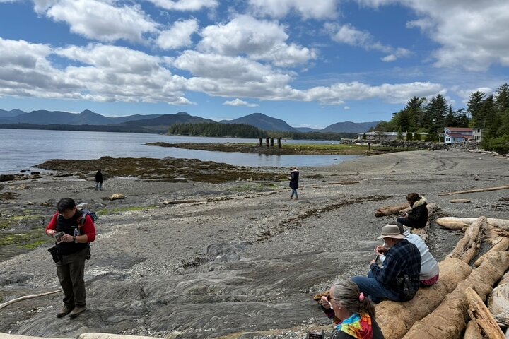 Alaska Wildlife Safari and Sightseeing Tour