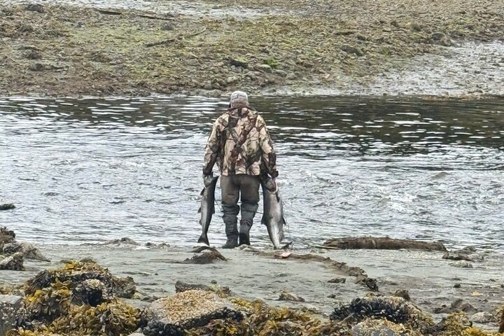 Alaska Wildlife Safari and Sightseeing Tour