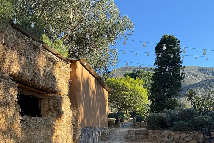 Private Deluxe Wine Tour to Valle de Guadalupe by Luxury Vehicle