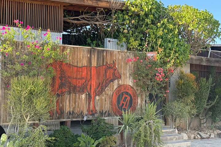 Private Deluxe Wine Tour to Valle de Guadalupe by Luxury Vehicle