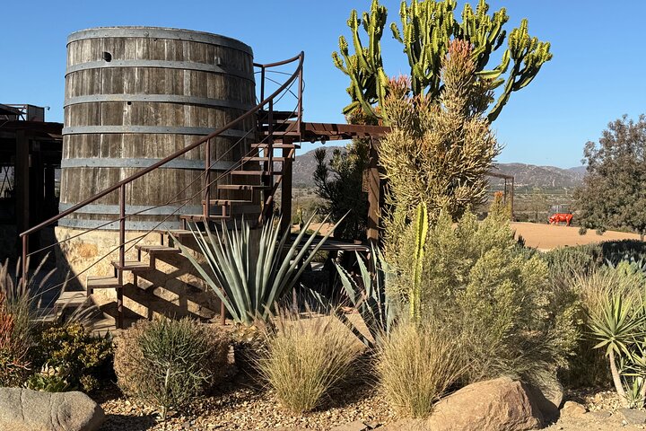 Private Deluxe Wine Tour to Valle de Guadalupe by Luxury Vehicle