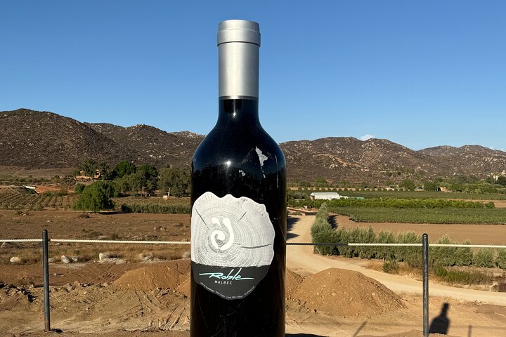 Private Deluxe Wine Tour to Valle de Guadalupe by Luxury Vehicle