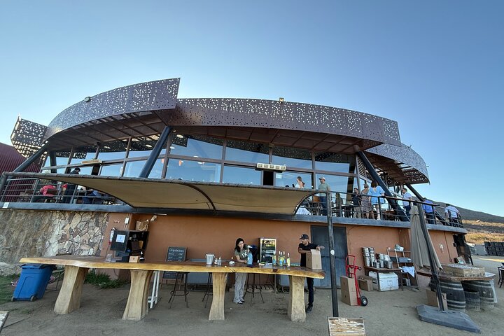 Private Deluxe Wine Tour to Valle de Guadalupe by Luxury Vehicle