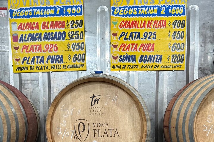 Private Deluxe Wine Tour to Valle de Guadalupe by Luxury Vehicle