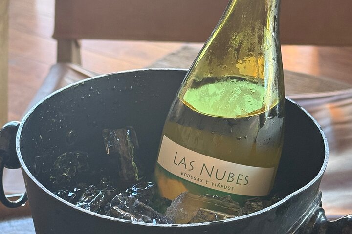 Private Deluxe Wine Tour to Valle de Guadalupe by Luxury Vehicle