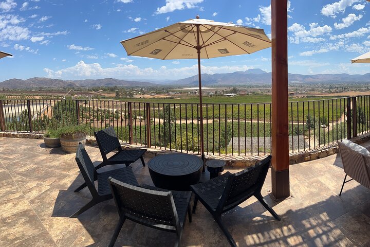 Private Deluxe Wine Tour to Valle de Guadalupe by Luxury Vehicle