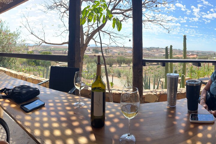 Private Deluxe Wine Tour to Valle de Guadalupe by Luxury Vehicle