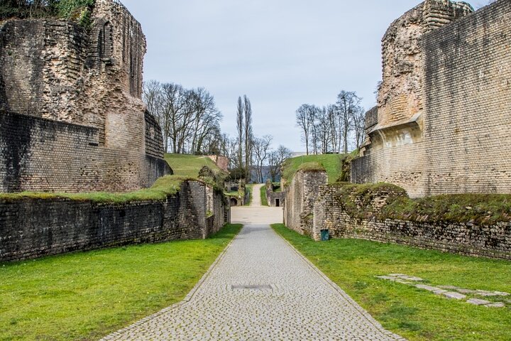 From Luxembourg: Trier, Moselle River, Waterfall and Castle Tour
