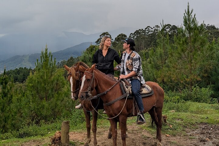 Scenic Horseback Riding in the Medellín Mountains