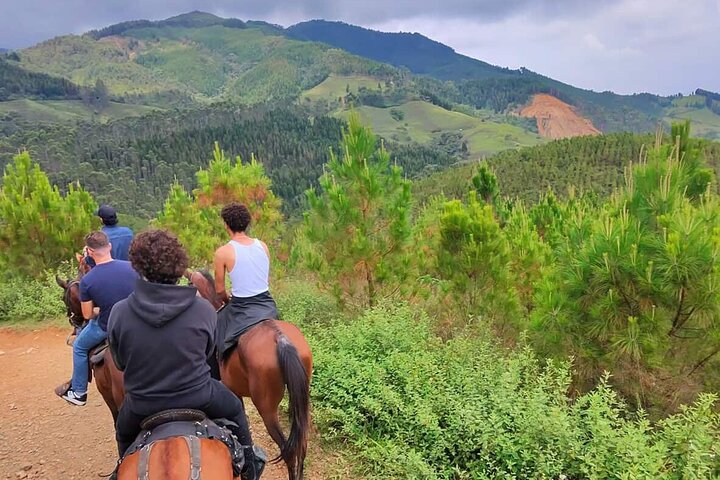 Scenic Horseback Riding in the Medellín Mountains