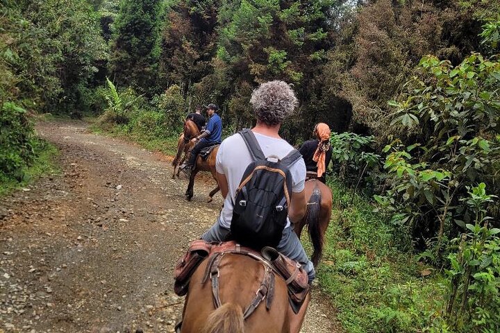 Scenic Horseback Riding in the Medellín Mountains