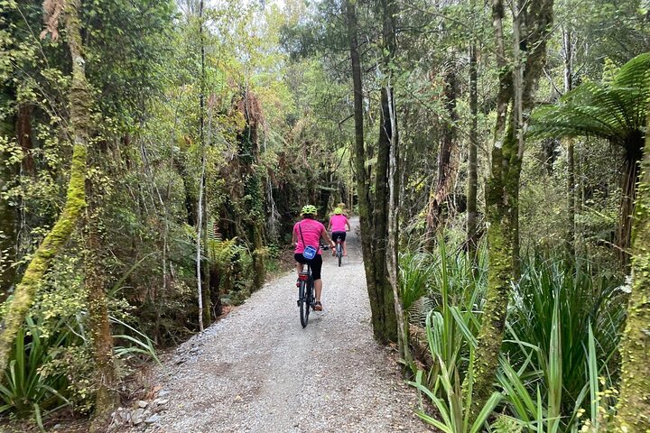 Hokitika Gorge Walk and Wilderness Trail Tour by eBike