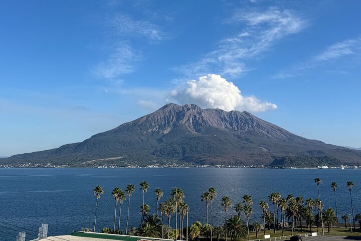 Private Kagoshima: Gardens, Shrines & Observatory by Expert Guide