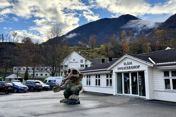 Bergen: UNESCO NærøyFjord Cruise, Flåm & Stegastein - Incl. Lunch