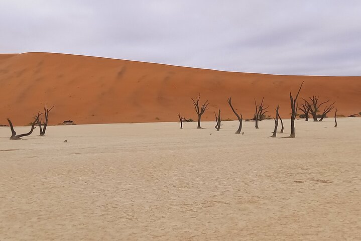 3-Days Sossusvlei Namibia Desert Tour.