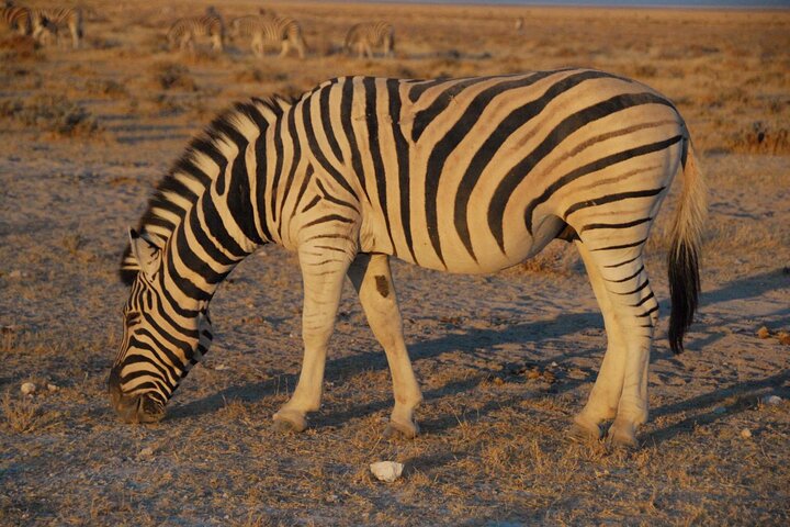3-Days Sossusvlei Namibia Desert Tour.