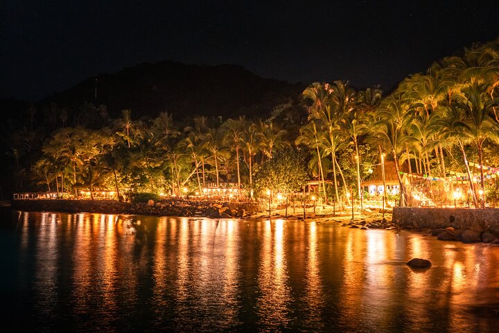 Puerto Vallarta Rhythms of the Night: Gourmet Dinner & Alma Show