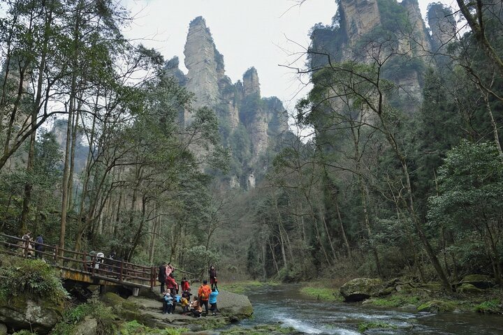 Private Day Tour Zhangjiajie National Forest Park Avatar Mountain