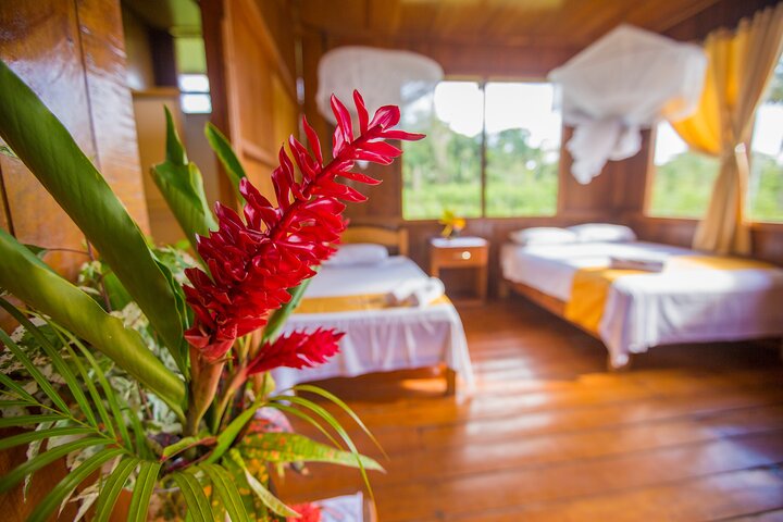 Eco Jungle 3 Days - 2 Nights