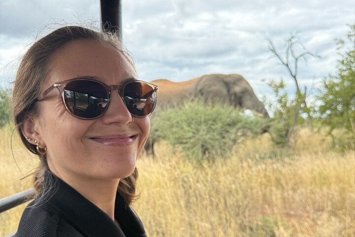 Pilanesberg National Park 6 Hour Safari from Sun City