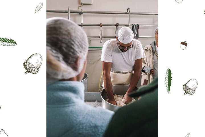 Mozzarella Experience - Cheese Tour and tastings to Masseria Fragnite