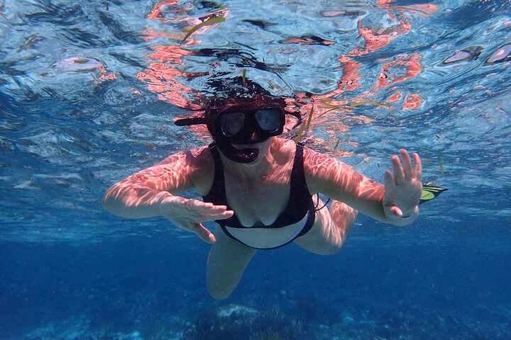 3-Stop Stingray City, Reef Snorkel & Starfish Point Tour