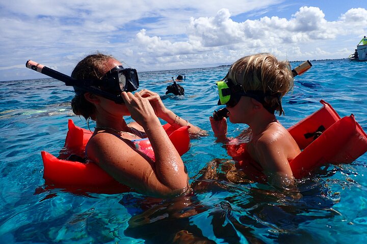 3-Stop Stingray City, Reef Snorkel & Starfish Point Tour