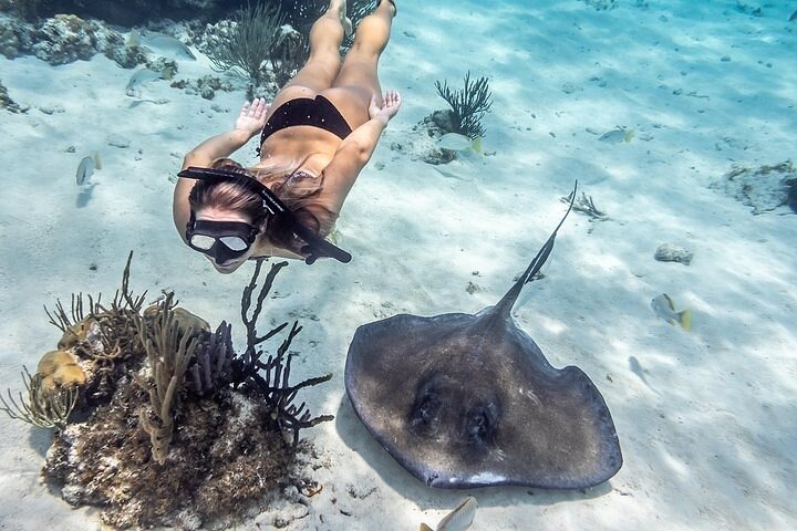 4 Stops Tour: Stingray, Snorkeling, Starfish & 7 Mile Beach