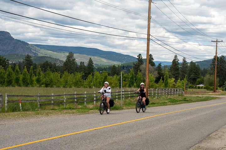 Kelowna Wine Tour by E-Bike with Tastings, Lunch & Okanagan Views