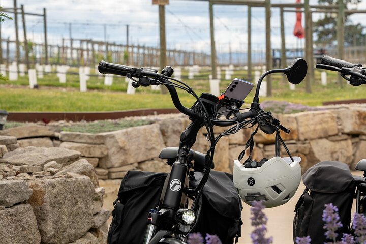 Kelowna Wine Tour by E-Bike with Tastings, Lunch & Okanagan Views