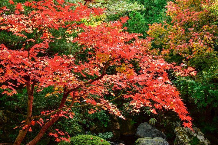 Iwami Ginzan Silver Mine and Shimane 2 Days Private Tour