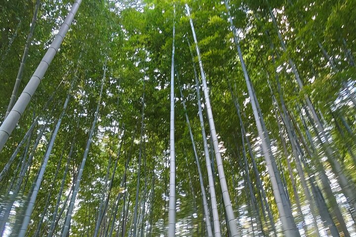 Guided Tour of Nagoya by Car