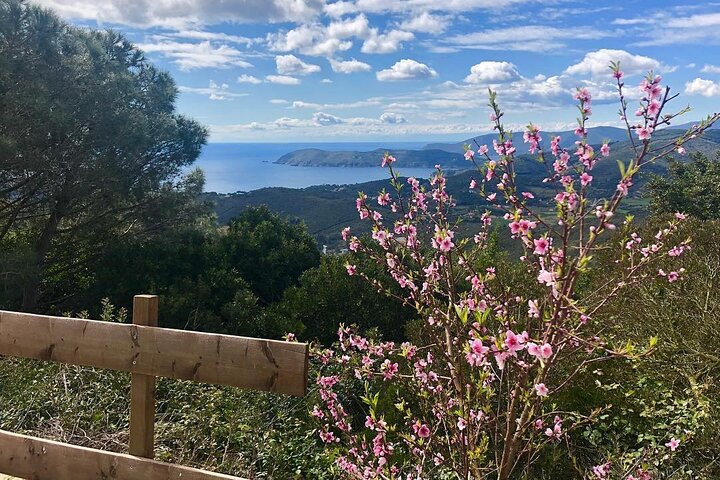 Taste Elba: Organic Food, Wine & Sea Views