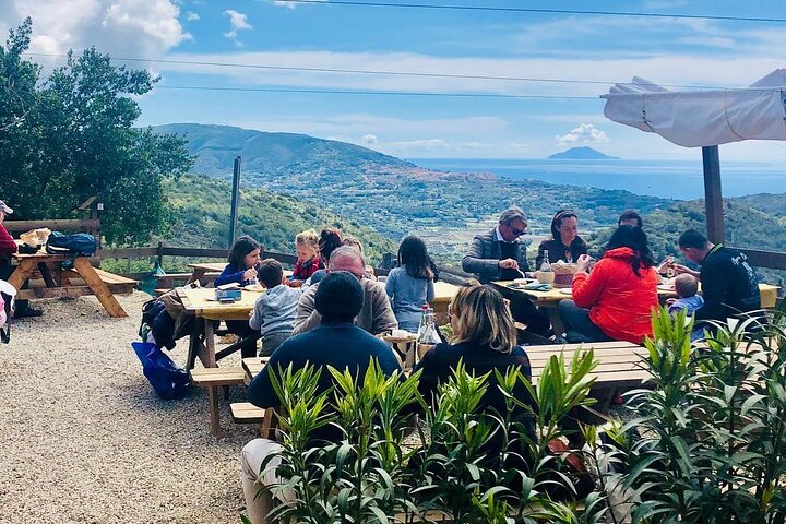 Taste Elba: Organic Food, Wine & Sea Views