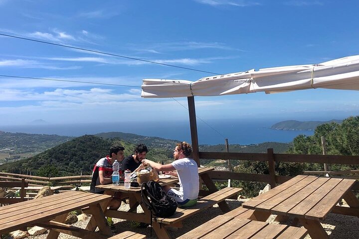 Taste Elba: Organic Food, Wine & Sea Views