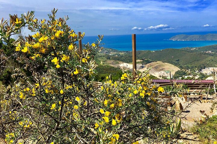 Taste Elba: Organic Food, Wine & Sea Views