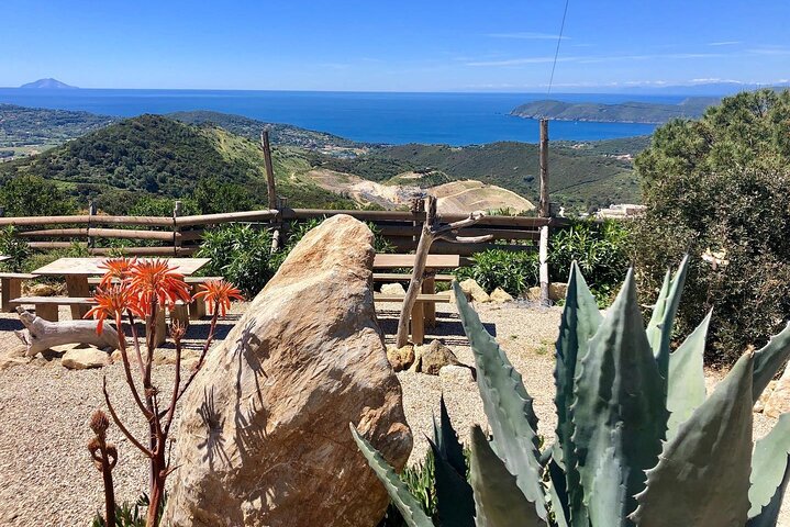 Taste Elba: Organic Food, Wine & Sea Views