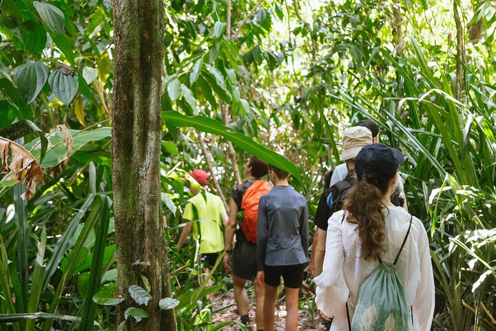 Corcovado National Park, Tour with lunch, San pedrillo.
